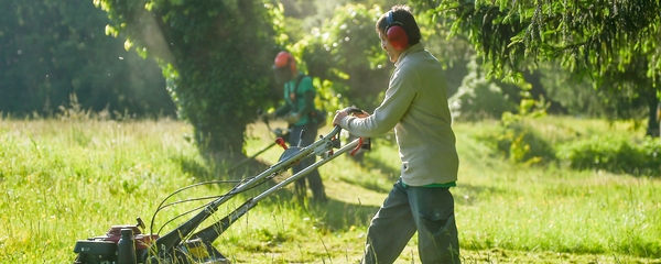ESAT Entretien des espaces verts