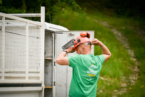 Espace vert - Les chênes verts