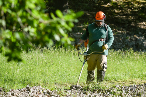 Espace vert - Les amandiers